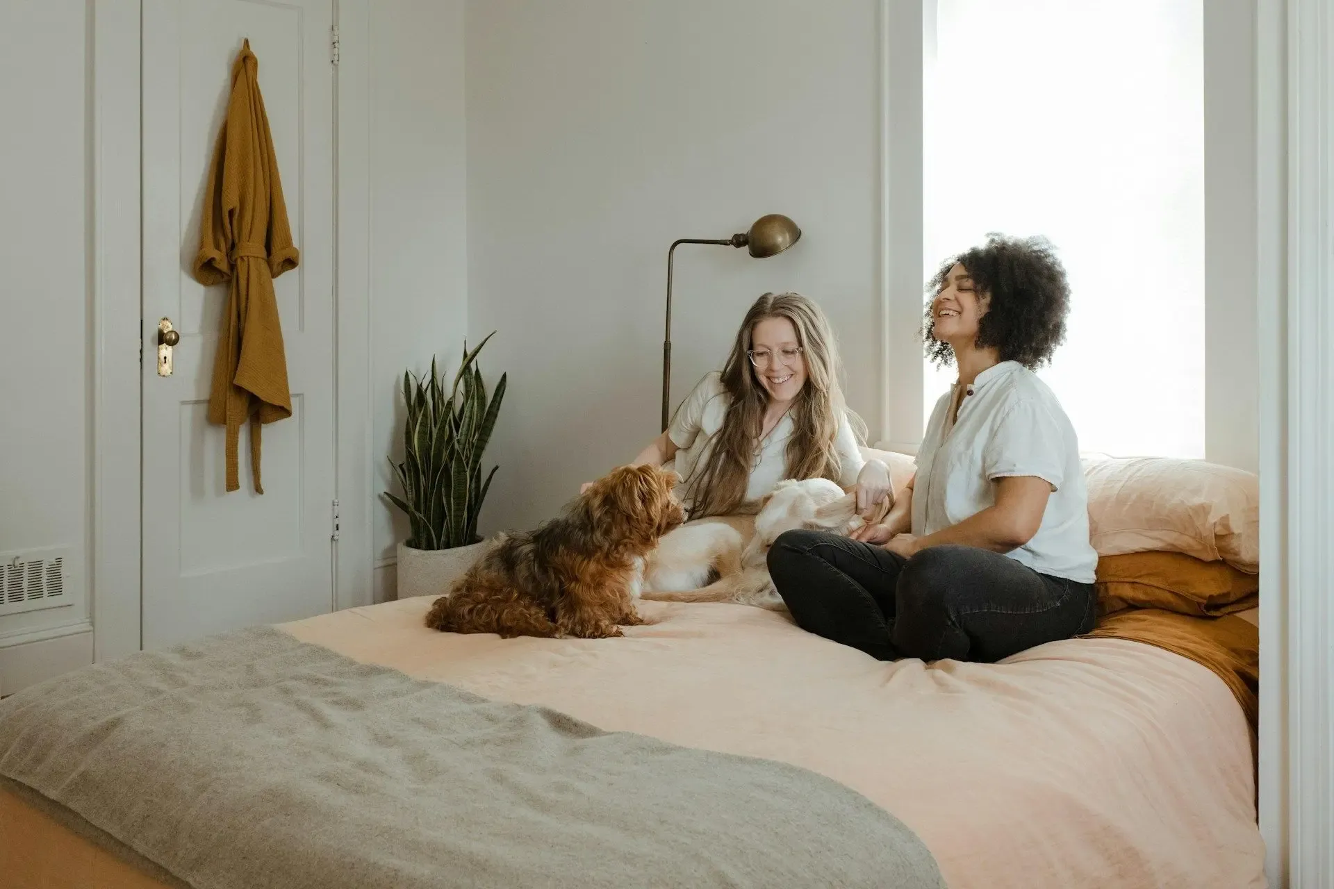 Stand-Alone Air Purification Systems